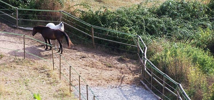 Hípica, Rutas en finca rural